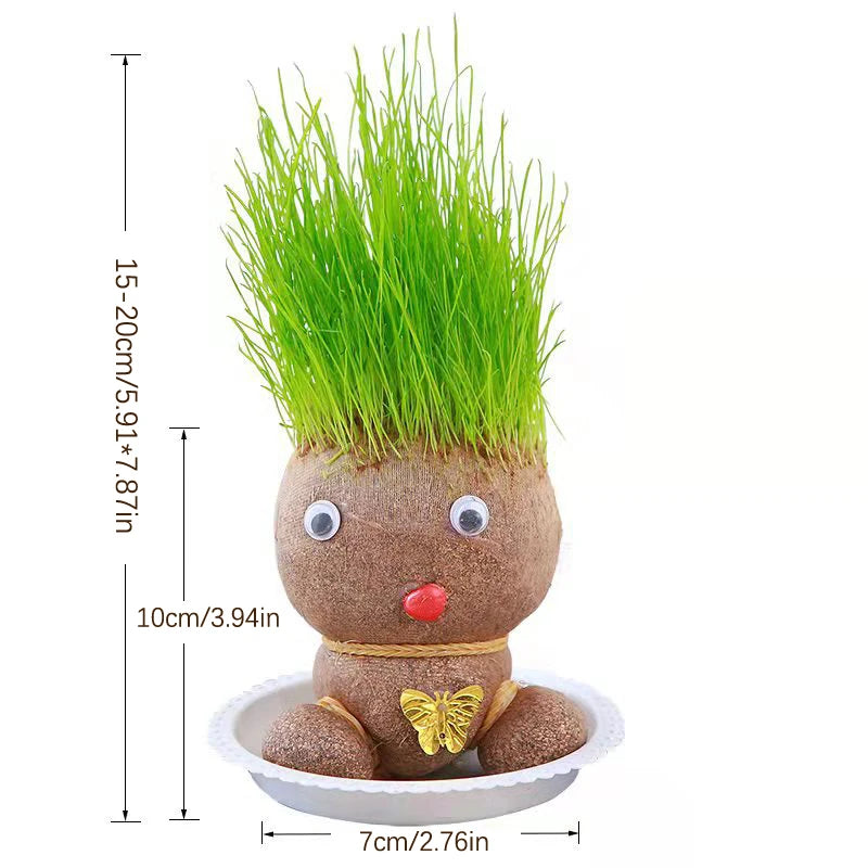 Room Decor Home Decoration Small Growing Grass