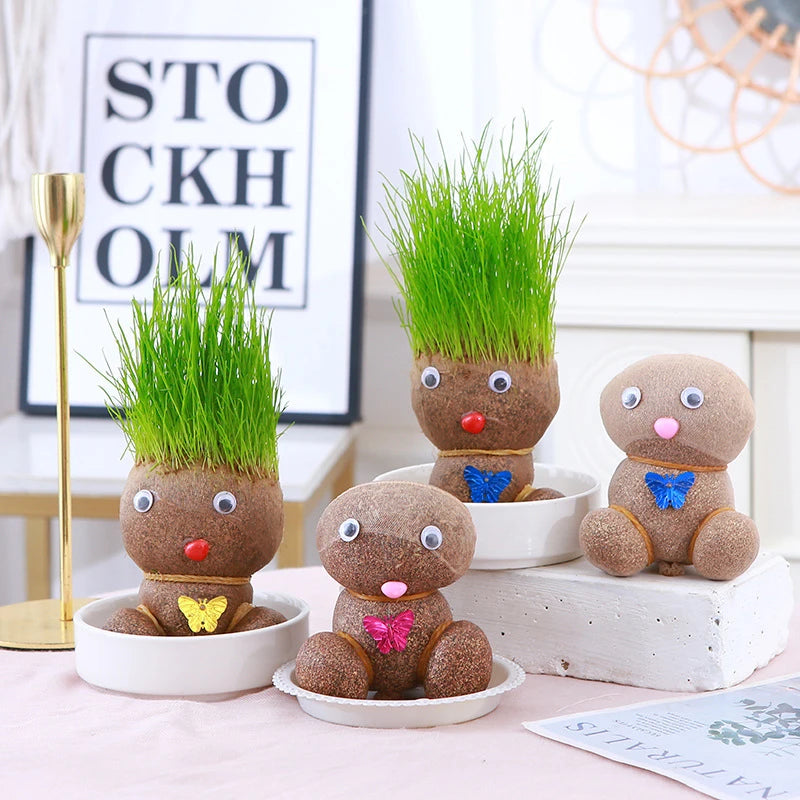 Room Decor Home Decoration Small Growing Grass