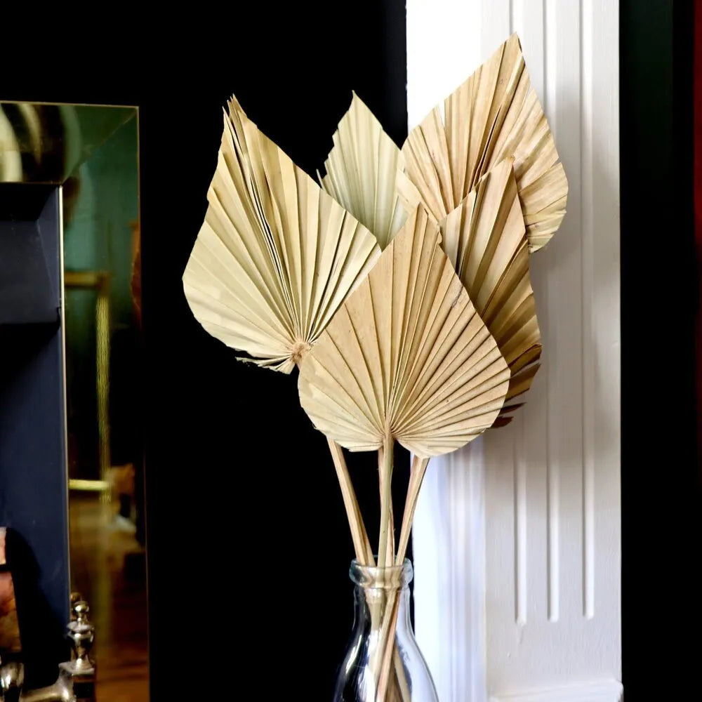 2PCS Palm Fan Leaf Dried Flower Mini Palm