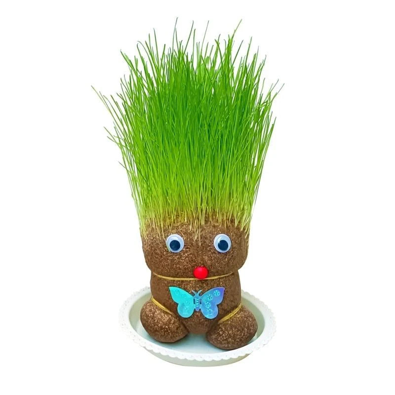 Room Decor Home Decoration Small Growing Grass