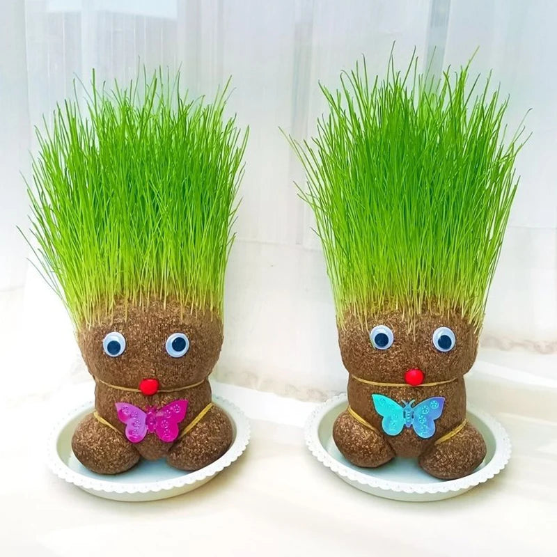 Room Decor Home Decoration Small Growing Grass